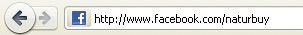 URL de una página de Facebook